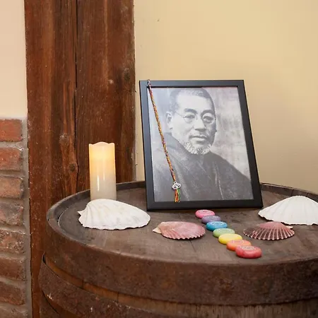 La Olli -natural Pool & Jacuzzi * Bristol