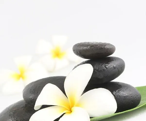 La Olli -natural Pool & Jacuzzi 别墅 布里斯托