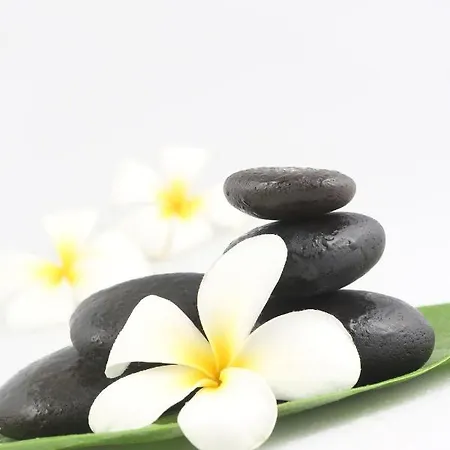 La Olli -natural Pool & Jacuzzi Villa Bristol